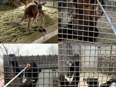 -水上乐园·欢乐世界