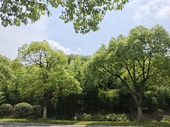 -南京市江宁方山