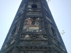 -上海佘山国家森林公园天马山园