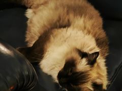 -Estaeslavida分享茄雪茄吧(亿彩购物中心店)