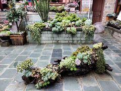 -寂照庵