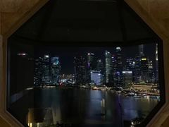 -新加坡丽思卡尔顿美年酒店