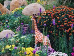 -上海共青森林公园