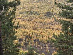 -莫尔道嘎国家森林公园