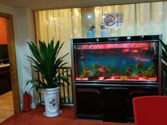 -小贝壳酒楼(经九路店)