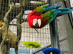 -北京野生动物园