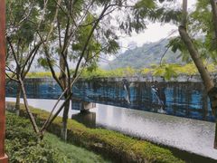 -重庆彩云湖湿地公园