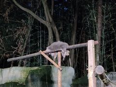 -杭州野生动物世界