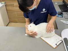 -爱侣宠医·鹦鹉专科·小型哺乳类·异宠专科(灵石路店)