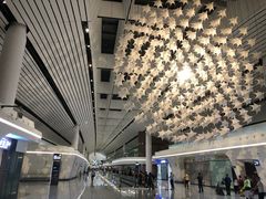 -中国联合航空