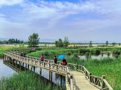 -野鸭湖国家湿地公园
