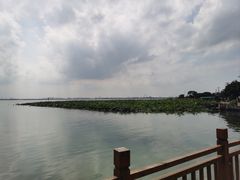 -七的湖·晚芳亭·阳澄湖农家菜·大闸蟹(莲花岛店)