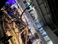 -自贡恐龙博物馆