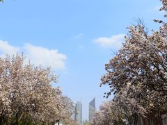 -天津五大道文化旅游区