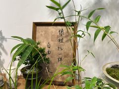 -自由生长植物工作室(深港花卉中心店)