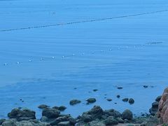 -青岛第一海水浴场