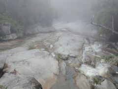 -霸王岭国家森林公园