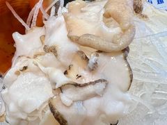海螺-东海怡品海鲜豆捞(舟宿夜江店)