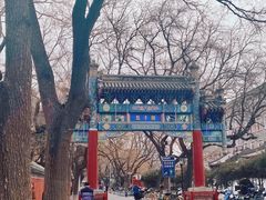 -北京国子监胡同
