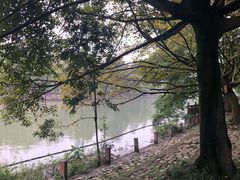 -成都市活水公园