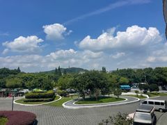 -青藤茶馆(凤起路店)