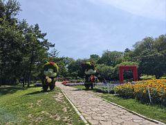 -沈阳植物园