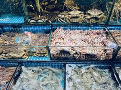 -板桥海鲜广场(文明东店)
