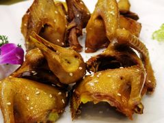 盐焗乳鸽-醉八仙农家乐酒楼(三乡店)