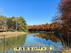 -上海海湾国家森林公园