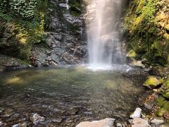 -莫里热带雨林景区