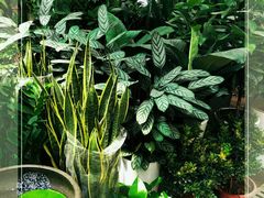 -秦美花卉(天朗·莱茵小城2期店)