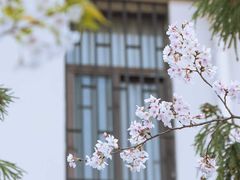 -鸡鸣寺