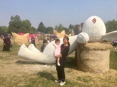 -秀丽东方