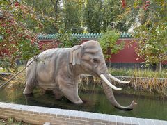 -北京野生动物园