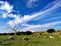 -塞罕坝国家级自然保护区