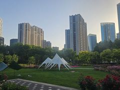 -大望京公园