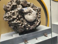 -湖南省地质博物馆