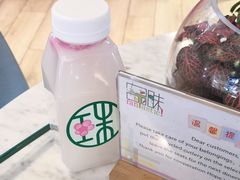 -宝珠奶酪(浦东金桥店)