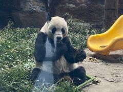 -石家庄市动物园