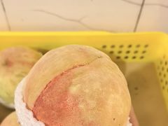 -老袁家蜜桃农场·阳山水蜜桃