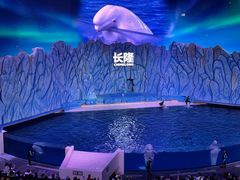 -珠海长隆海洋王国
