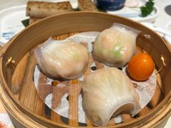 -点都德·毕德寮