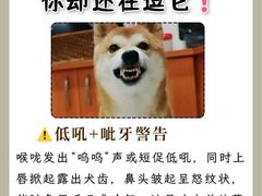 -美联众合动物医院·24h转诊中心