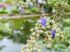 -广州神农草堂中医药博物馆