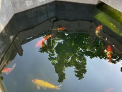 -西安市广仁寺