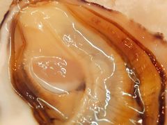 -斯普汇生蚝牛排馆(中骏世界城店)