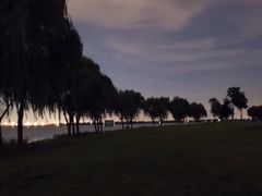 -漕湖湿地公园