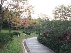 -大屏嶂森林公园