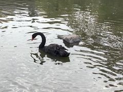 -厦门园林博览苑