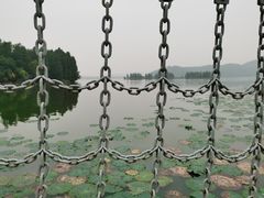 -东湖落雁景区